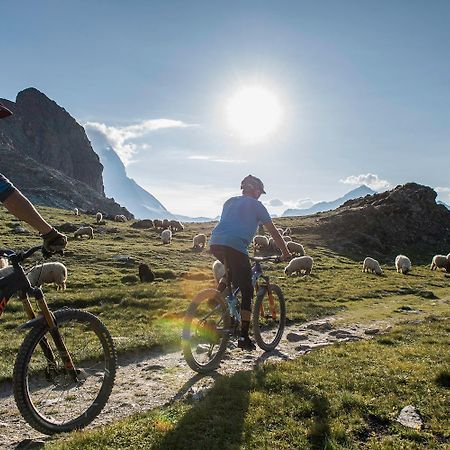 22 Summits Boutique Hotel Zermatt Dış mekan fotoğraf